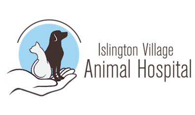 Animal online hospital etobicoke